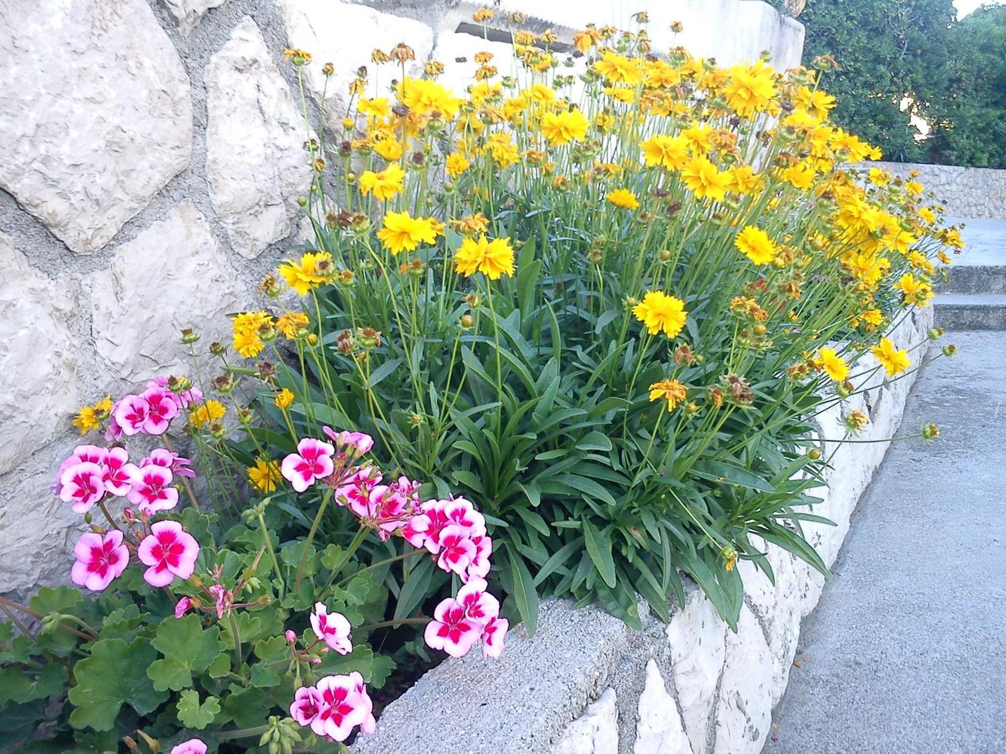 Barbat na Rabu Apartments Banic מראה חיצוני תמונה